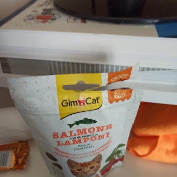 Bana Açık Ödül Mama Teslim Edildi! Petlebi'ya Yakışmadı