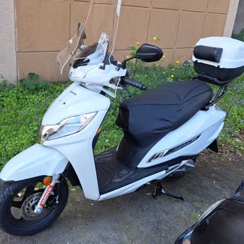 Honda Motosiklet Honda, Haldızlar Mağduriyeti