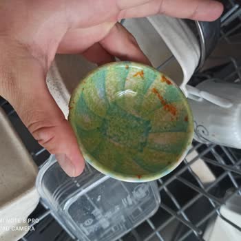 Bosch Marka Bulaşık Makinesi Tam Bir Fiyasko