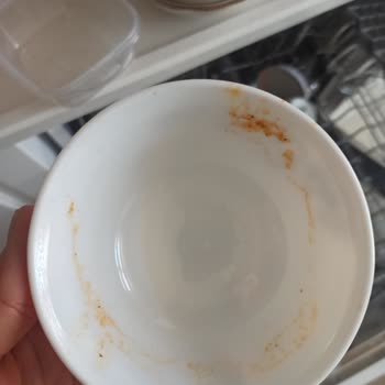 Bosch Marka Bulaşık Makinesi Tam Bir Fiyasko