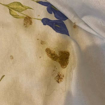 Nd Marka Trendyol Satıcısı Bozuk Mama Gönderiyor