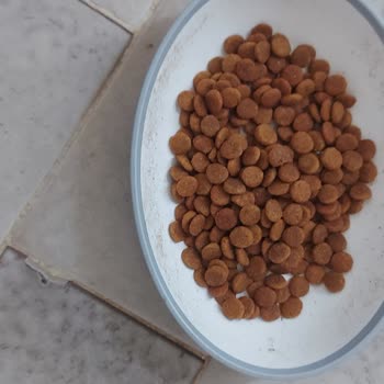 Migros Lider Petfood Joker Tavuklu Kuru Kedi Maması Renk Ve Koku Değişikliği