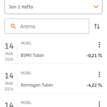 EFT Ücreti ING