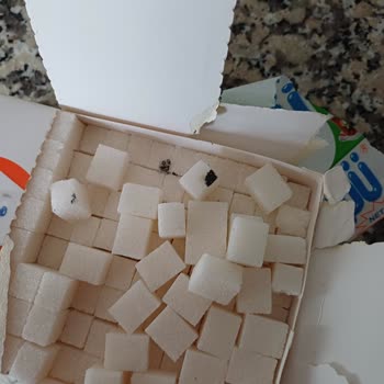 Balküpü Paketin İçinden Çıkan