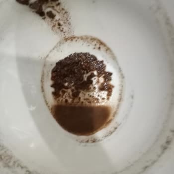 Shazel Kahve İçerisinde Kabuk Parçaları Var