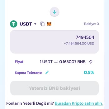 Pancakeswap Bnb'den USD'ye Dönüşüm Sorunu
