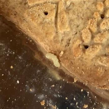 Ülker Hijyen Ve Sağlığın Önemi