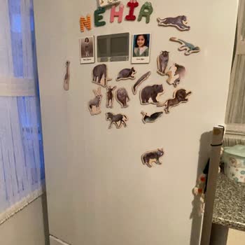 4 Yıllık Bosch Ve Boşa Yapılan Türkiye Sigorta