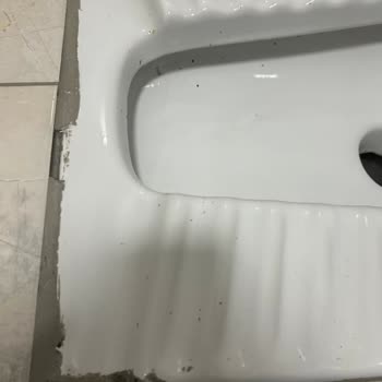 Başkent Vip Temizlik Şirketi Temizlikle Alakası Olmayan Şirket