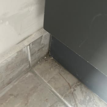 Başkent Vip Temizlik Şirketi Temizlikle Alakası Olmayan Şirket