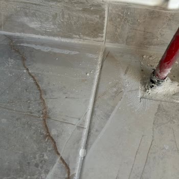 Başkent Vip Temizlik Şirketi Temizlikle Alakası Olmayan Şirket