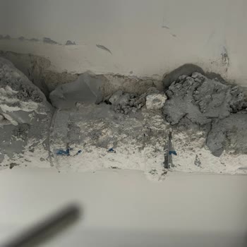 Başkent Vip Temizlik Şirketi Temizlikle Alakası Olmayan Şirket