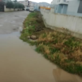 Torbalı Belediyesi Asfaltlanması Lazım Buranın Yoksa Su Birikiyor Sinekten Geçilmiyor