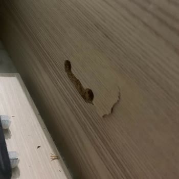 Çilek Mobilya Satış Yapana Kadar Ürünlerinin Arkasında!