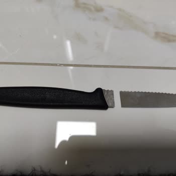 Kalite Kaybı: Victorinox Bıçağım Ayva Keserken Bozuldu