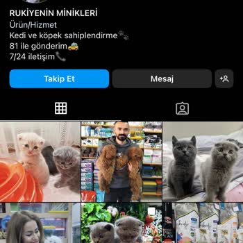 Dostumpaticik (Instagram) Hayal Kırıklığı: Sahiplendirme Vaadiyle Hüsran!