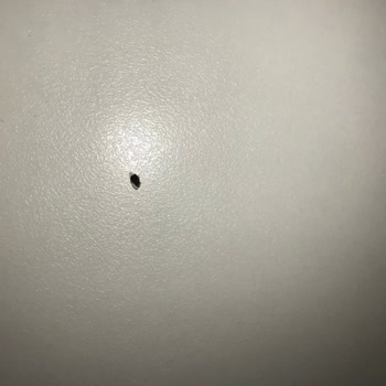 Bebelac Mama'dan Böcek Çıktı!