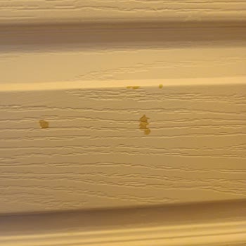 Dyo Kalkan Soyulan Su Bazlı Kapi Boyası