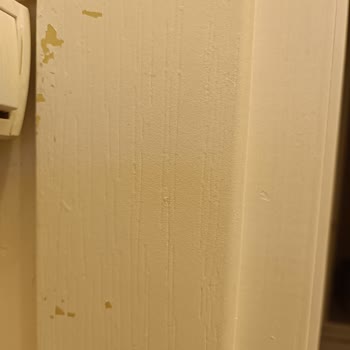 Dyo Kalkan Soyulan Su Bazlı Kapi Boyası