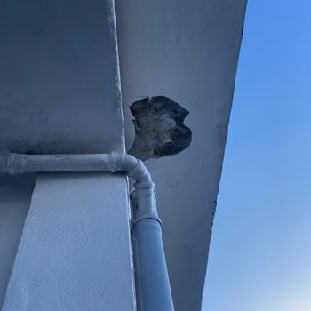 Aksigorta Poliçesi Hasar Durumu Red Cevabı.