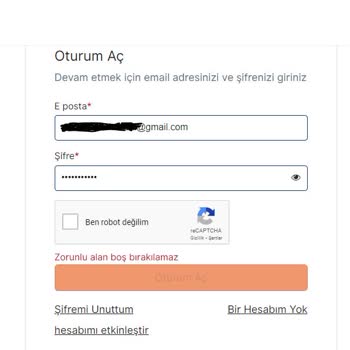 VFS Global Vize Başvuru Sistemi Çilesi