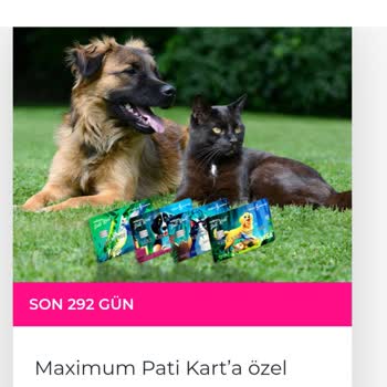 İş Bankası Pati Kart Mağduriyeti