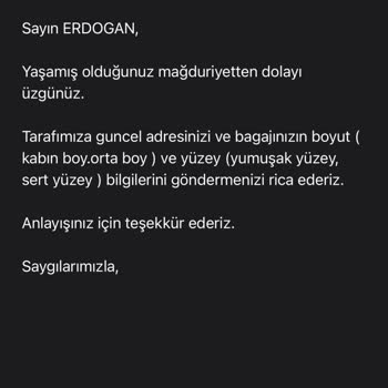 THY Bagaj Temini Hakkında