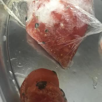 Sıfır Arçelik Dondurucu Küflendirdi Yiyecekleri