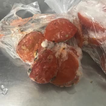 Sıfır Arçelik Dondurucu Küflendirdi Yiyecekleri
