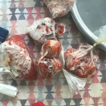 Sıfır Arçelik Dondurucu Küflendirdi Yiyecekleri