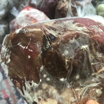 Sıfır Arçelik Dondurucu Küflendirdi Yiyecekleri