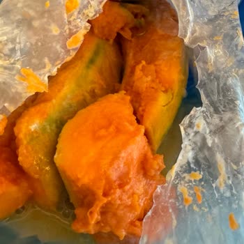 Vestel Buzdolabı Çamaşır Makinesi