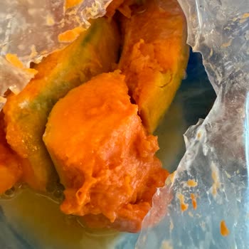 Vestel Buzdolabı Çamaşır Makinesi