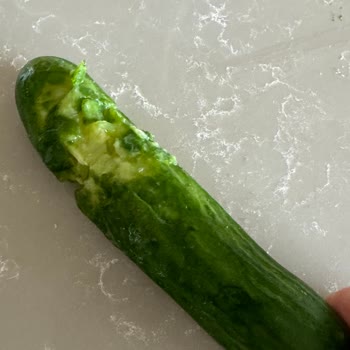 Vestel Buzdolabı Çamaşır Makinesi