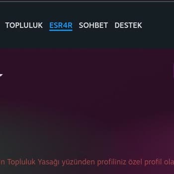 Sebepsiz Yere Steam Topluluğu'ndan Yasaklandım.