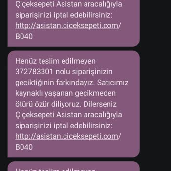 Çiçek Sepeti Şifa Denizi Mağduriyeti