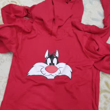 Lorisgiyim (Instagram) Ürünlerin Yanlış Gelmesi Ve Yanıltılmam