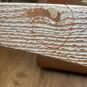 Mudo İlgisizlik Sonucu Hayal Kırıklığı