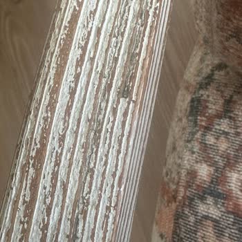 Mudo İlgisizlik Sonucu Hayal Kırıklığı