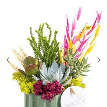 Taze Çiçek (tazecicek.com) Parası Ödenen Ürünü Alamama; Sipariş İle Gelen Ürün Asla Aynı Değil!