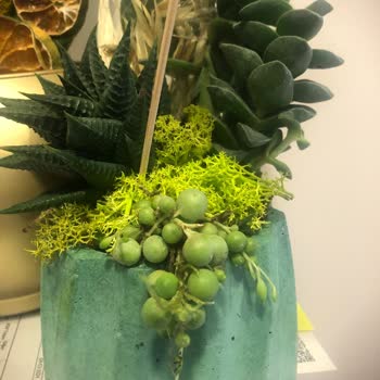 Taze Çiçek (tazecicek.com) Parası Ödenen Ürünü Alamama; Sipariş İle Gelen Ürün Asla Aynı Değil!