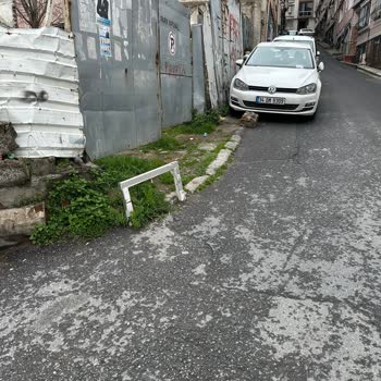 Beyoğlu Belediyesi Beyoğlu Hasköy'de Otopark Sorunu Ve Yolu İşgal Etme