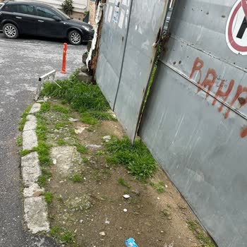 Beyoğlu Belediyesi Beyoğlu Hasköy'de Otopark Sorunu Ve Yolu İşgal Etme