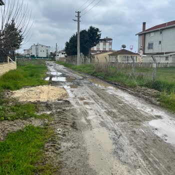 Marmaraereğlisi Belediyesi Yeniçiftlik Çamur Sorunu