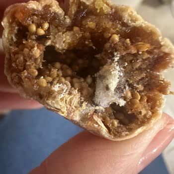 Gold Harvest Kuruyemiş Amigo Marka Kuru İncirde Küf Sorunu