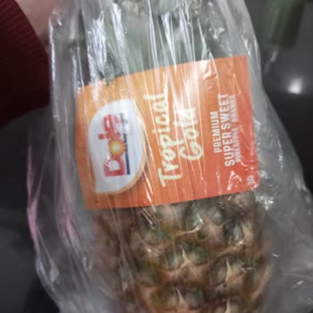 Migros Ağaç Gönderiyor. Ananas Ağacı