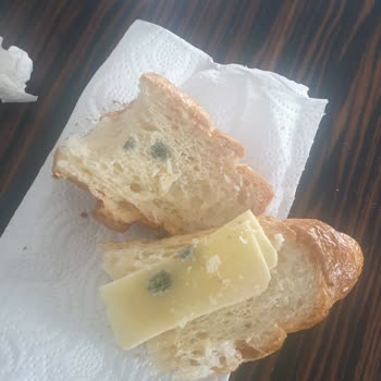 Ankara Gar Caribou Coffee Küflü Kruvasan Ve Kaşarsız Tost