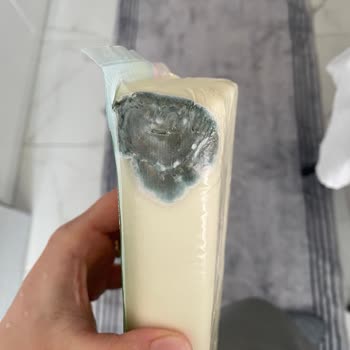 Torku Küflü Kaşar Peyniri