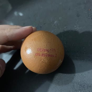 Anadolu Çiftliği Gezen Tavuk Yumurtası Deyip Kafes (3 Numaralı) Yumurta Satıyorlar!