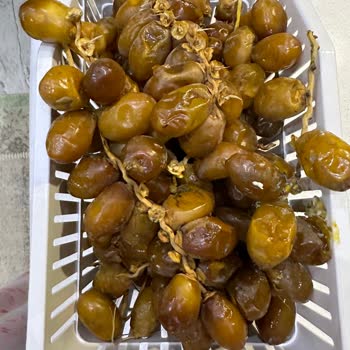 Tazehurma.com.tr Ya Da Arabic Date Firmasından Şikayetçiyim